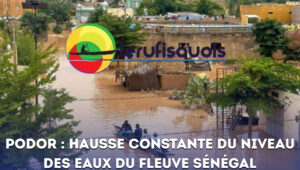 Podor : hausse constante du niveau des eaux du fleuve Sénégal