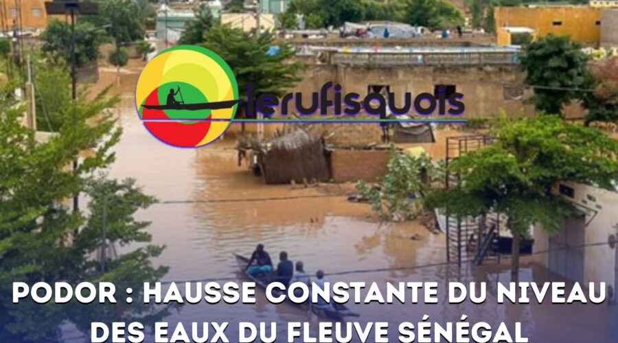 Podor : hausse constante du niveau des eaux du fleuve Sénégal