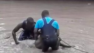 Noyade à Katoudié : un étudiant de l’UGB succombe dans un bras du fleuve Casamance