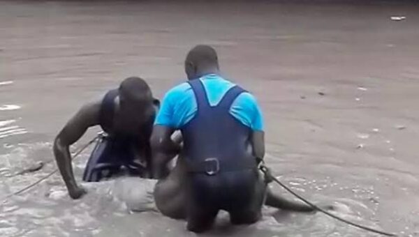 Noyade à Katoudié : un étudiant de l’UGB succombe dans un bras du fleuve Casamance