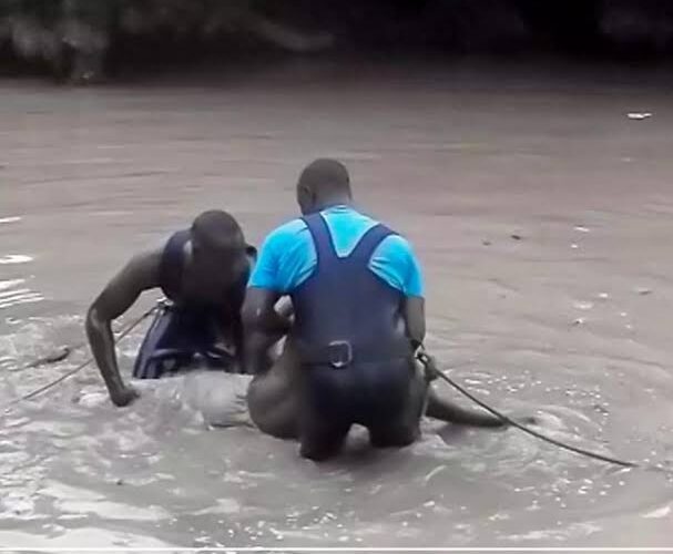 Noyade à Katoudié : un étudiant de l’UGB succombe dans un bras du fleuve Casamance