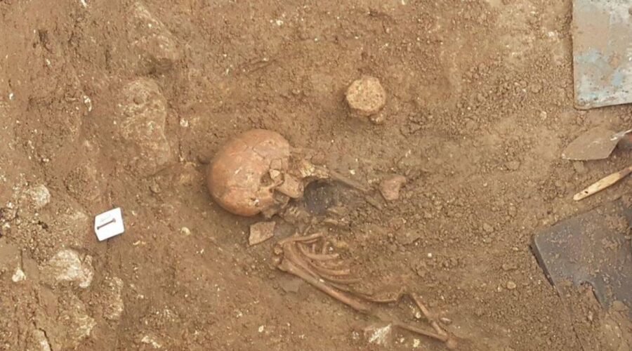 Macabre découverte sur la Corniche-Est : Des restes humains retrouvés derrière le Palais présidentiel