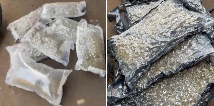 Trafic de drogue : 10 kg de haschich d’une valeur de 120 millions FCFA saisis au port de Dakar